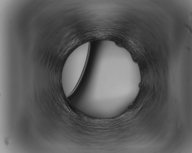 X0000098010044200803280740