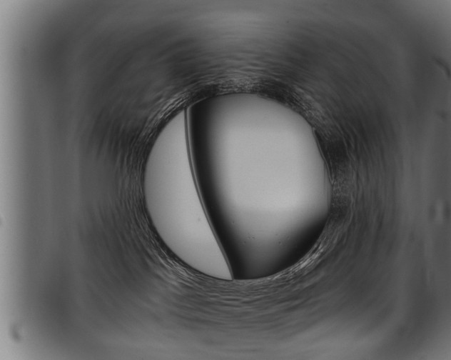 X0000098010045200803280740