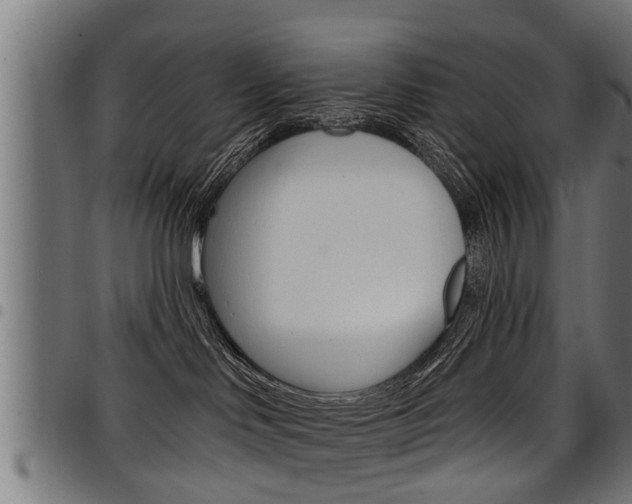 X0000098010046200803280740