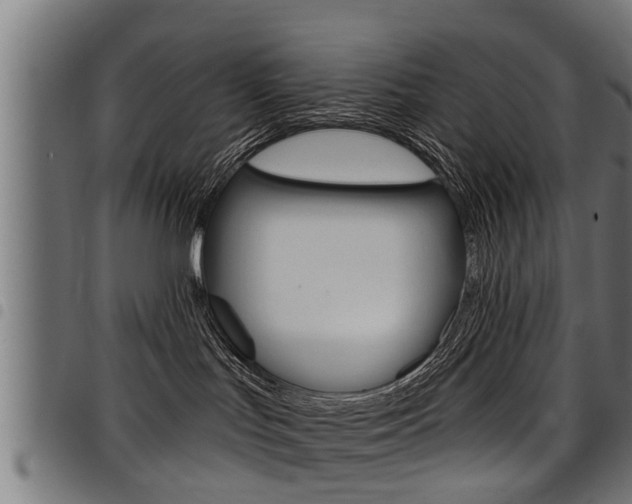 X0000098010047200803280740