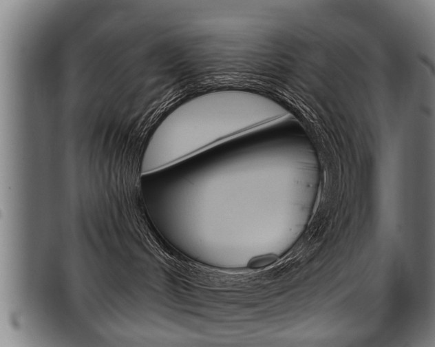 X0000098010048200803280740