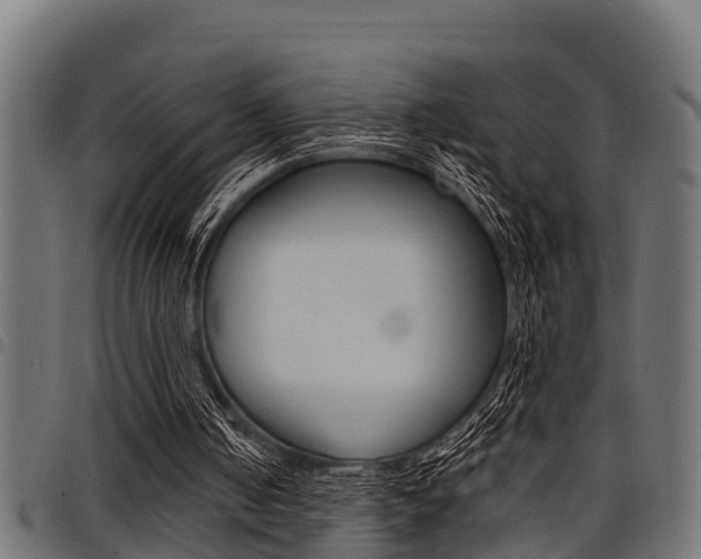 X0000098010050200803280740