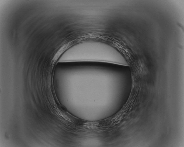 X0000098010051200803280740