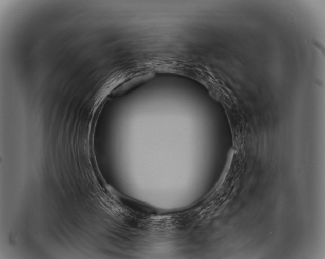 X0000098010052200803280740