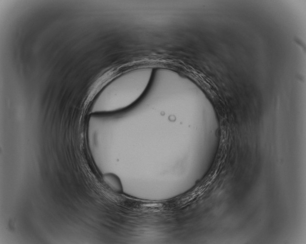 X0000098010053200803280740