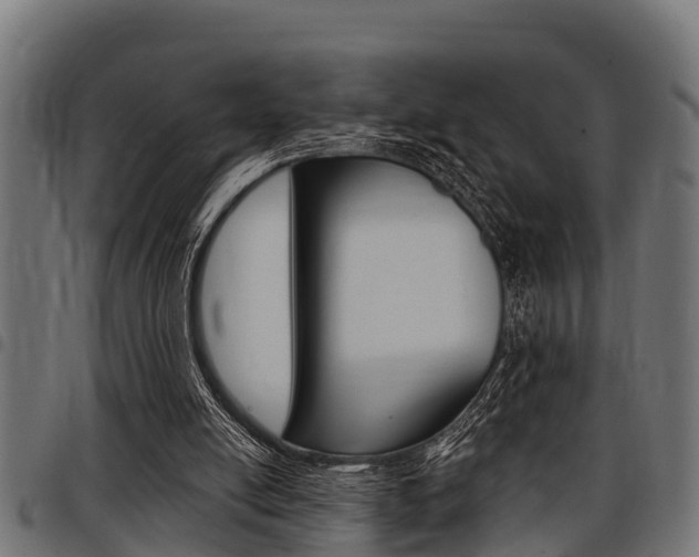 X0000098010054200803280740