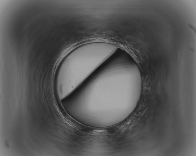 X0000098010055200803280740