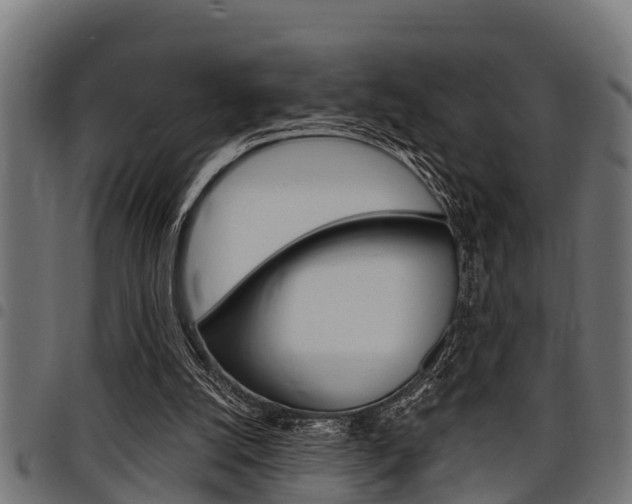 X0000098010056200803280740