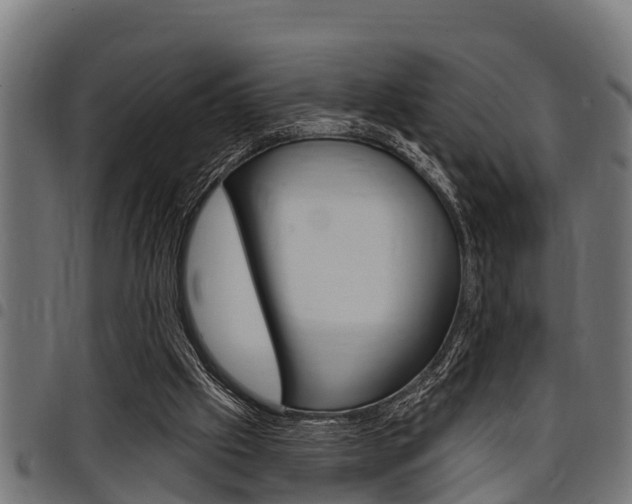 X0000098010057200803280740