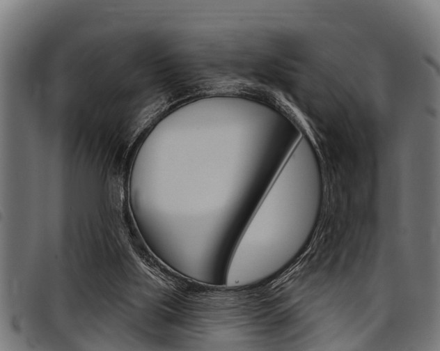 X0000098010059200803280740