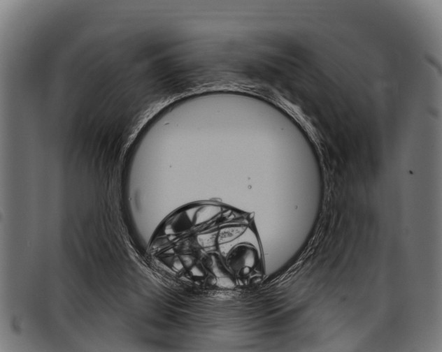 X0000098010060200803280740