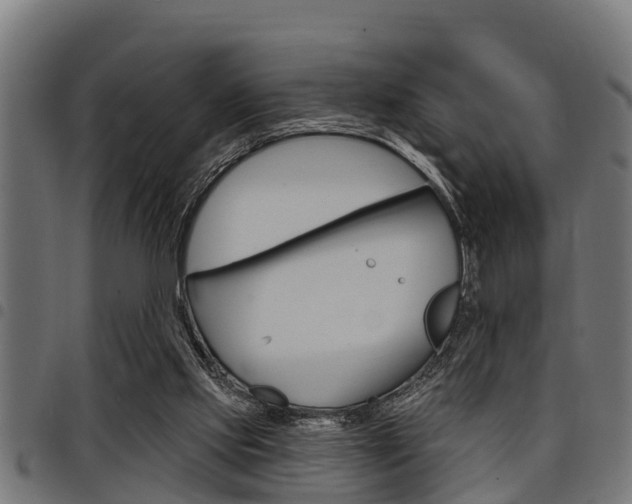 X0000098010061200803280740