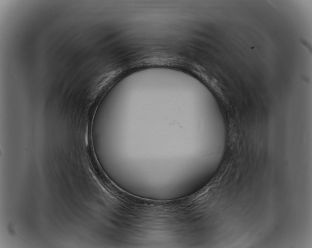 X0000098010062200803280740