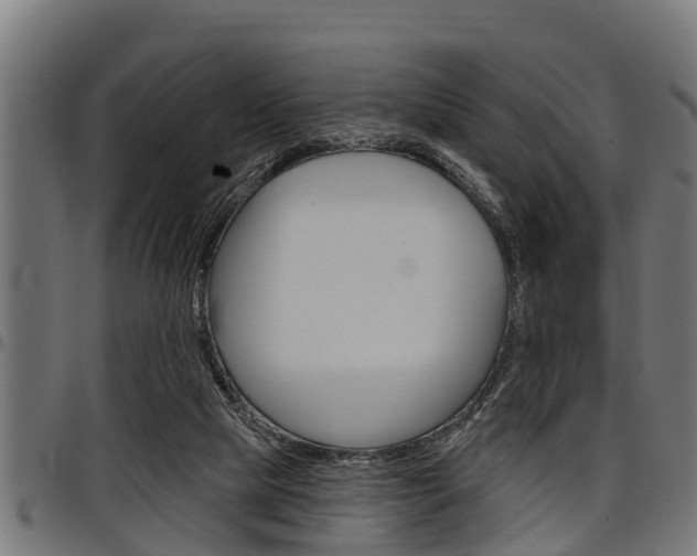 X0000098010065200803280740