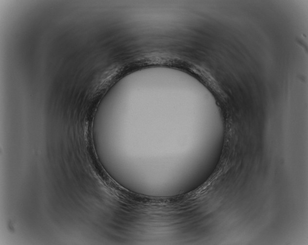 X0000098010066200803280740