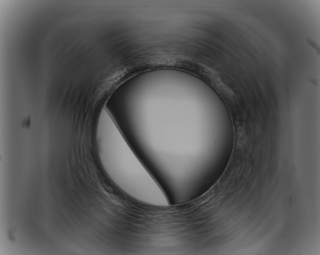 X0000098010068200803280740