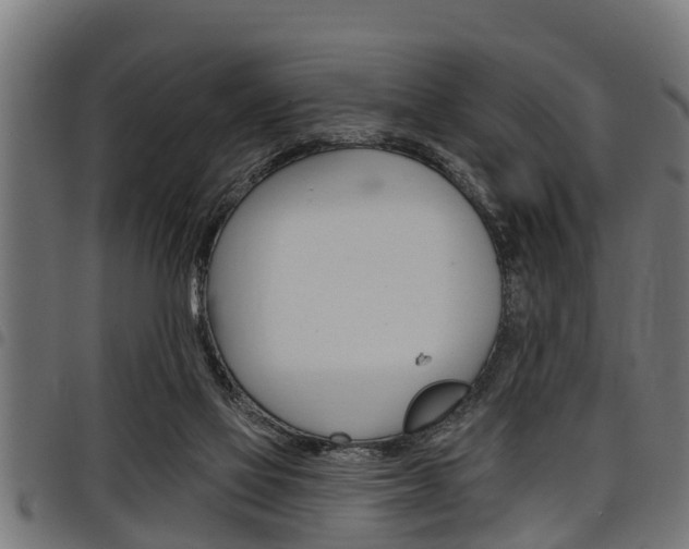 X0000098010069200803280740