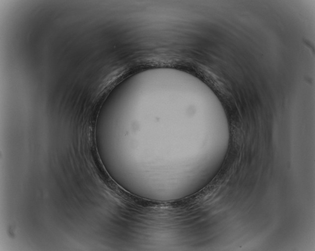 X0000098010071200803280740