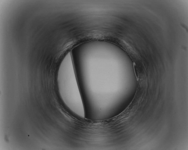 X0000098010072200803280740