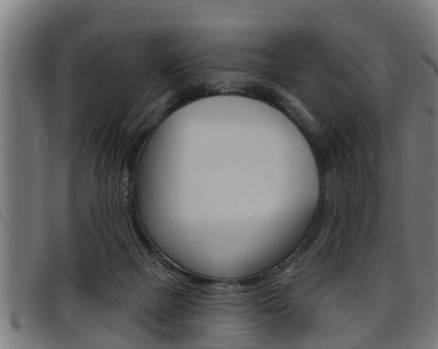 X0000098010073200803280740