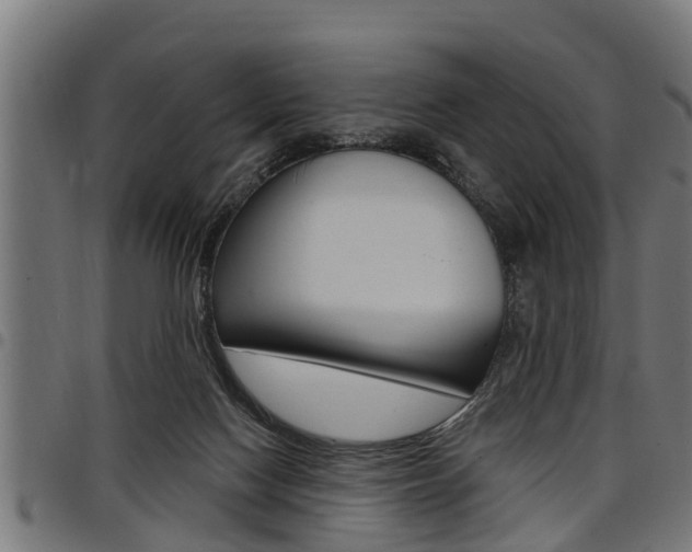 X0000098010074200803280740