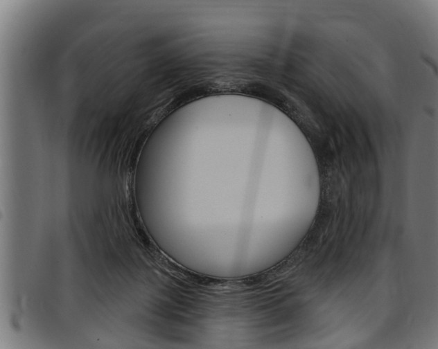 X0000098010075200803280740
