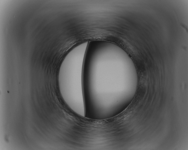 X0000098010076200803280740