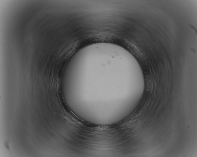 X0000098010077200803280740