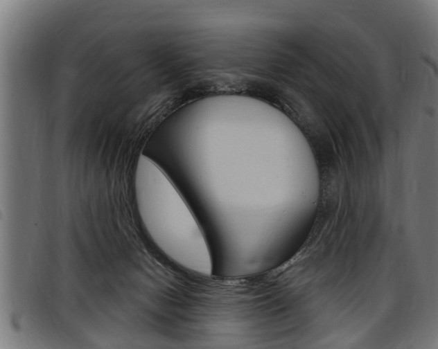 X0000098010078200803280740