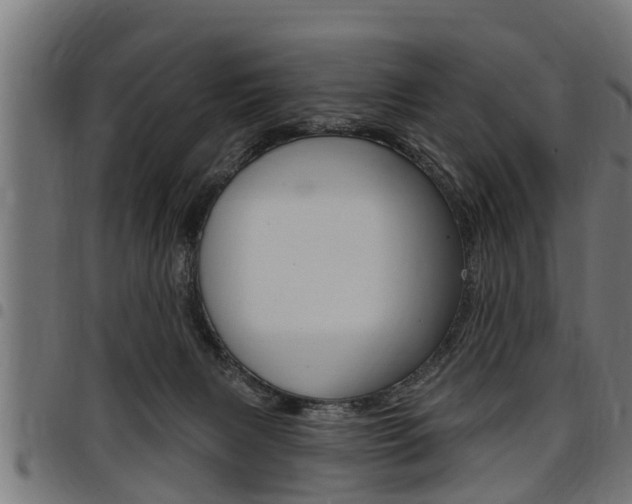 X0000098010079200803280740