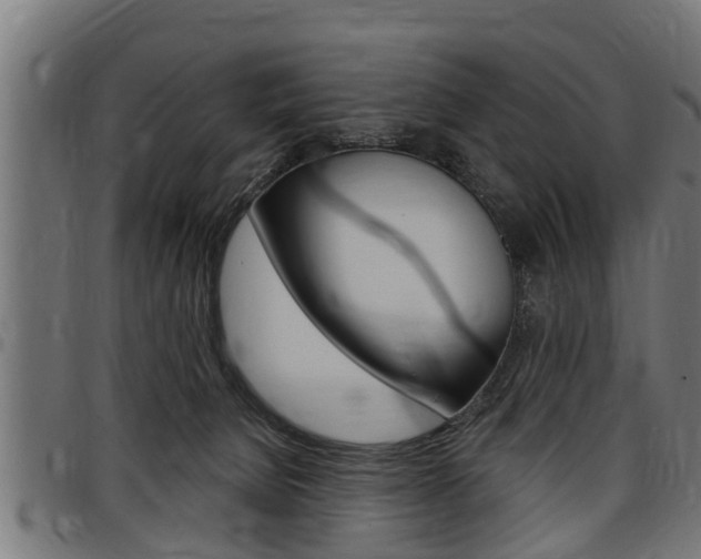 X0000098010080200803280740