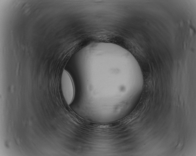 X0000098010081200803280740