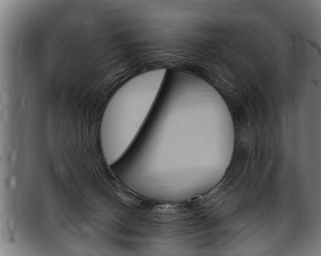 X0000098010082200803280740