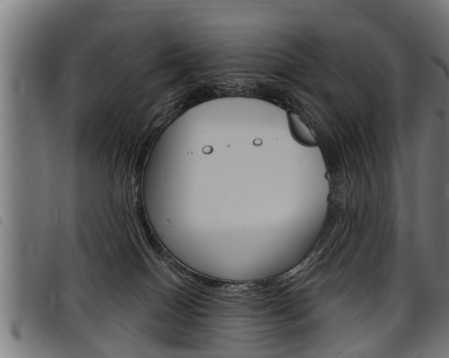 X0000098010086200803280740