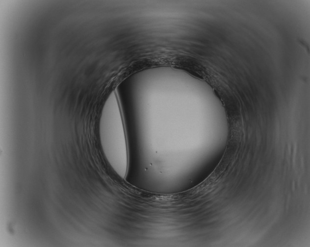 X0000098010088200803280740