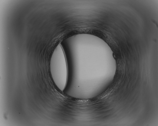 X0000098010089200803280740