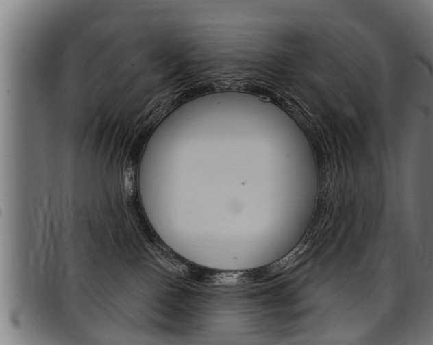 X0000098010090200803280740