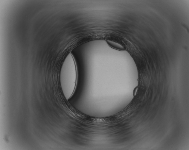 X0000098010091200803280740