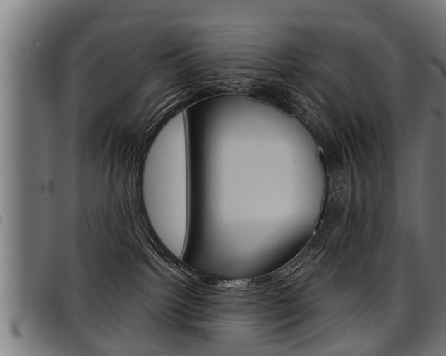 X0000098010092200803280740