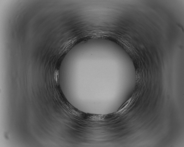 X0000098010094200803280740