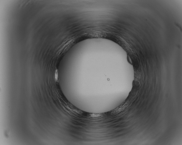 X0000098010095200803280740