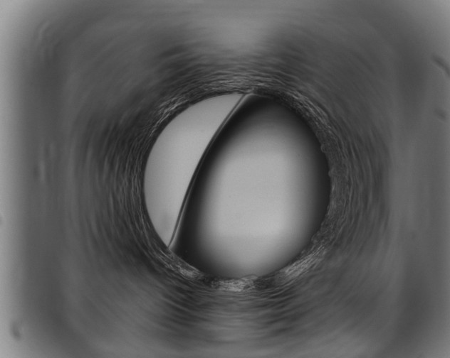 X0000098010096200803280740