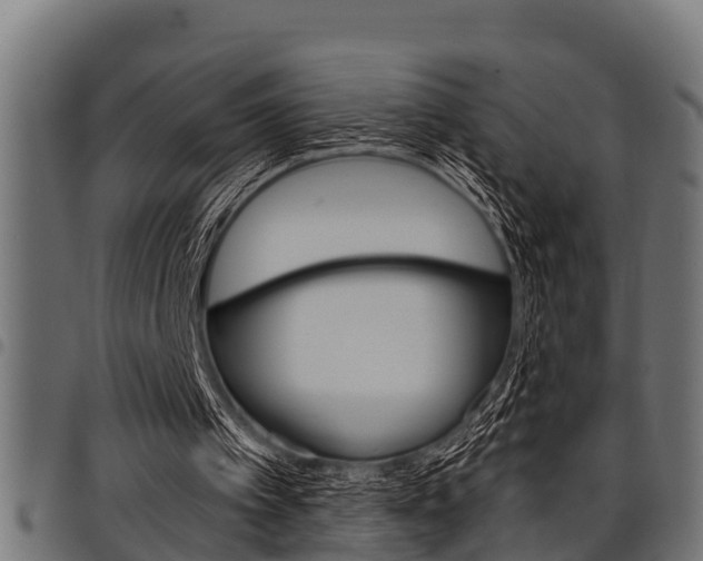 X0000098010097200803280740