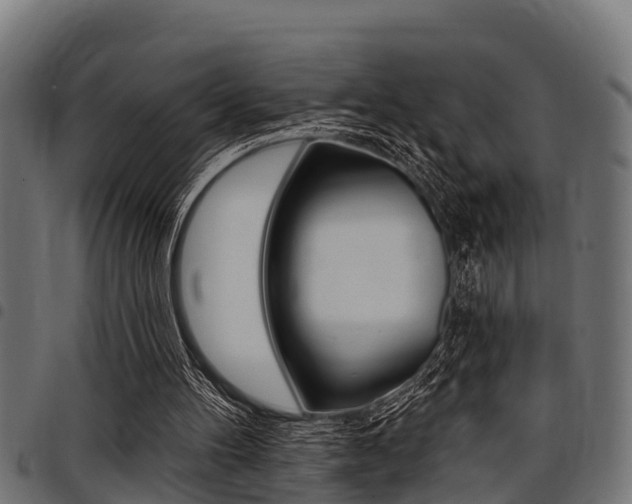 X0000098010100200803280740