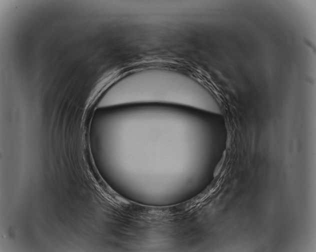 X0000098010101200803280740