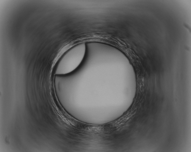 X0000098010102200803280740