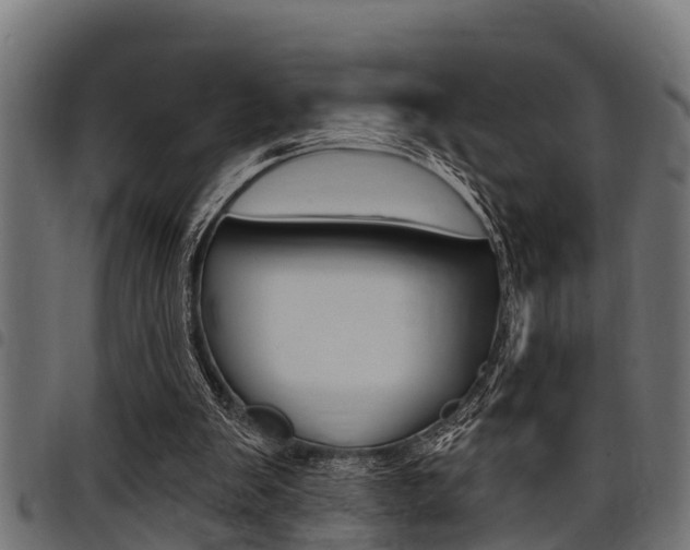 X0000098010103200803280740