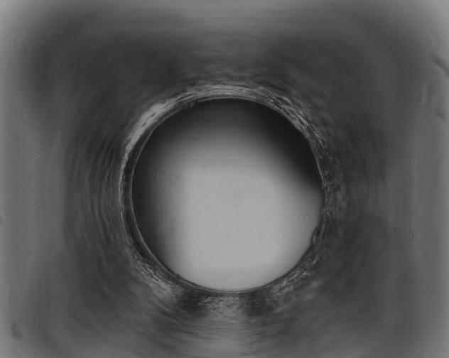 X0000098010104200803280740