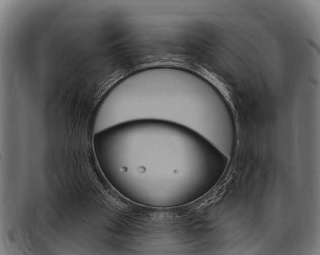 X0000098010105200803280740