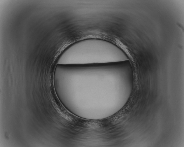 X0000098010106200803280740
